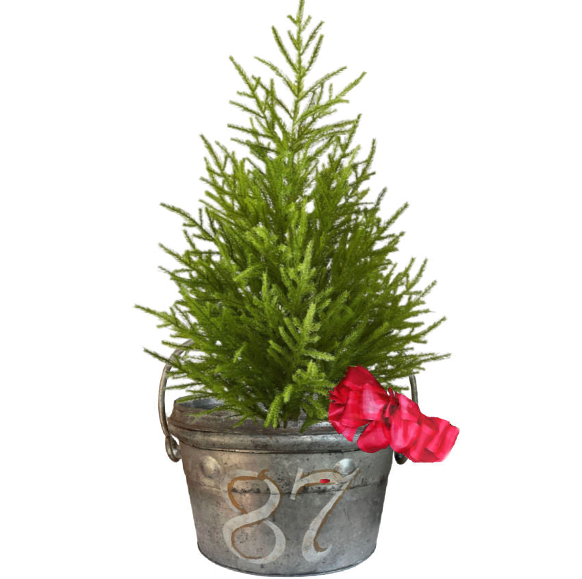 19th Century English Industrial Firefighter’s Bucket