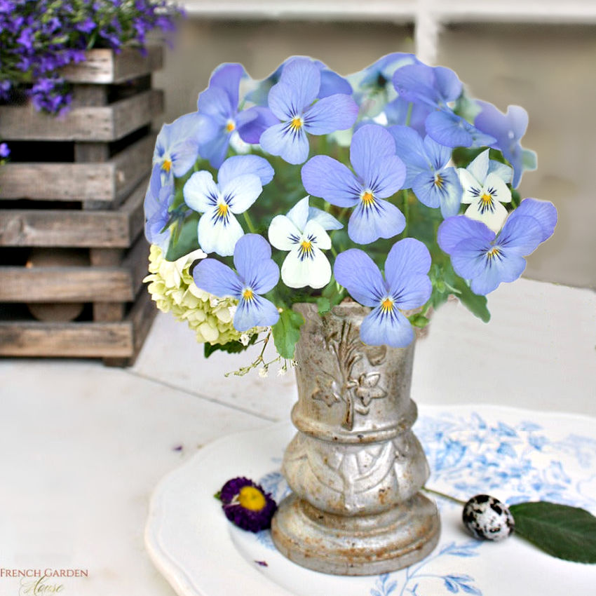 Close up of antique French "Pensée" floral relief showing the delicate petals of garden pansies on cast iron on an antique blue and white antique French floral platter