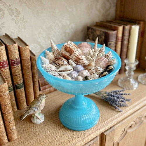 Antique French opaline glass footed compote bowl styled with collected seashells
