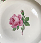 Close up of hand painted Meissen Pink Rose on a plate.