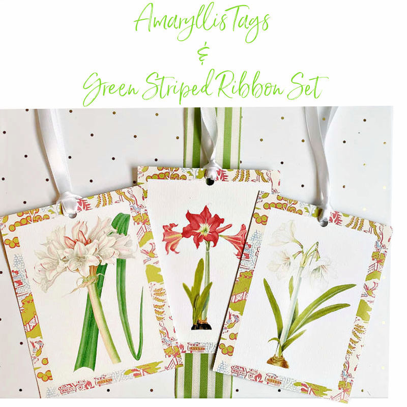 Amaryllis Tags and Green Striped Ribbon Set
