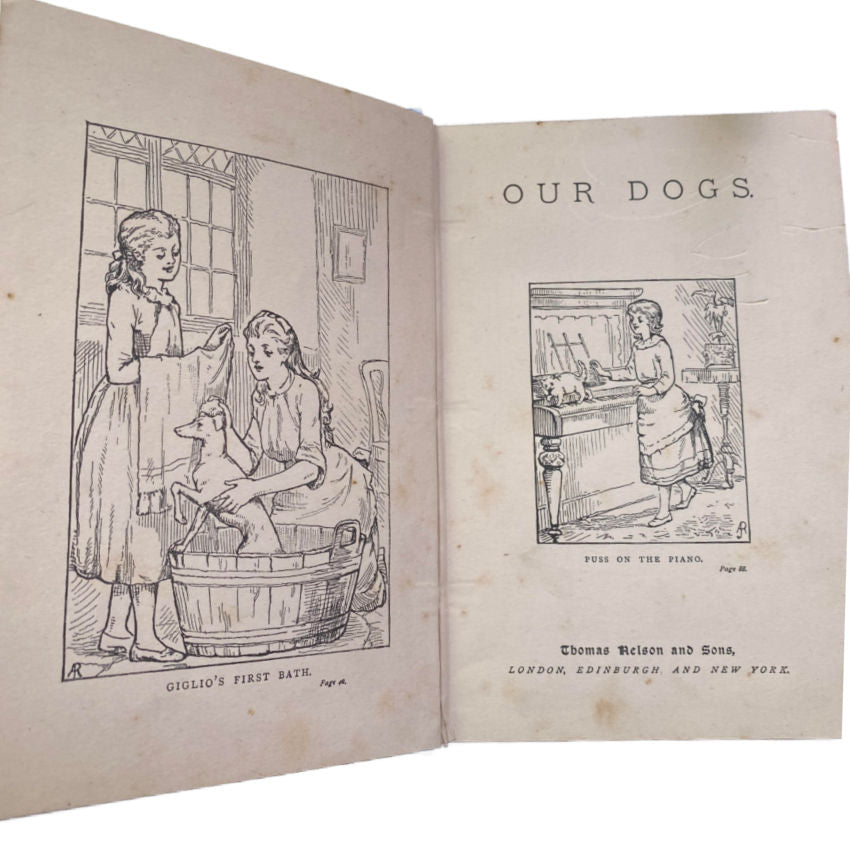 Antique Children's Book Our Dogs 1902