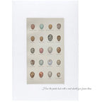Set of 4 19th Century Warbler and Wren Egg Prints by Henry Seebohm