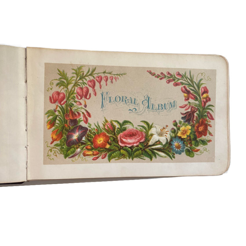 Antique Floral Autograph Album with Flower Illustrations