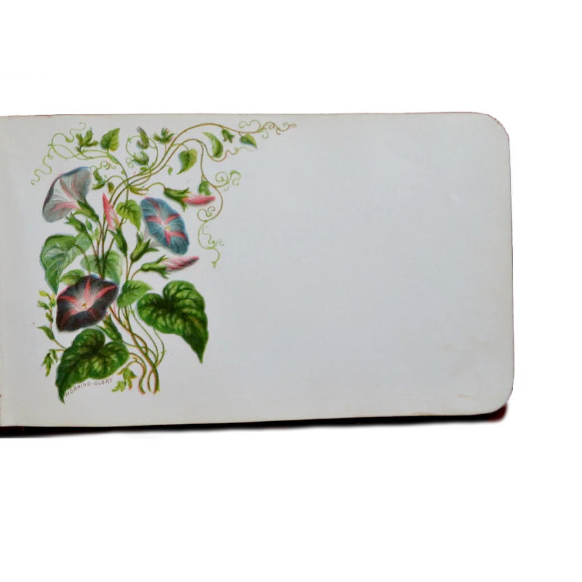 Antique Floral Autograph Album with Flower Illustrations