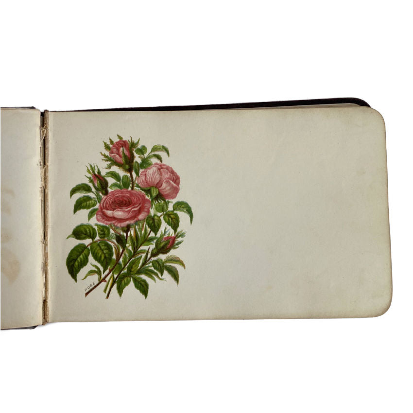 Antique Floral Autograph Album with Flower Illustrations