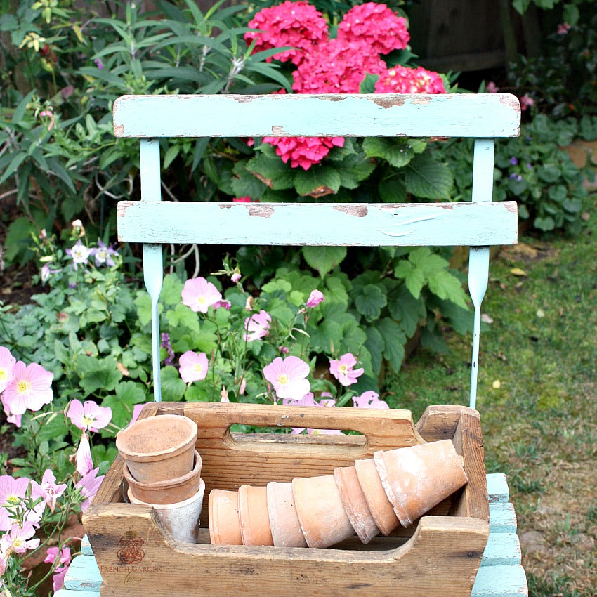 Antique French Greenhouse Terracotta Seedling Pots Set of 3