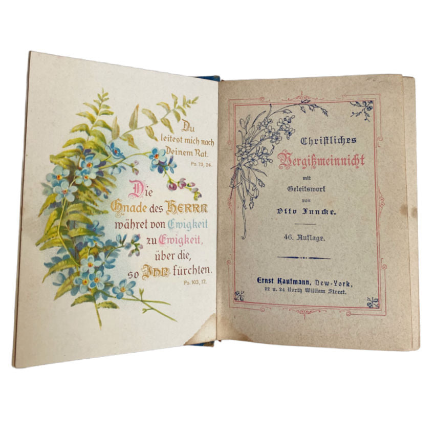 19th Century Christliches Vergissmeinnicht Christian Forget Me Not Keepsake Memory Book