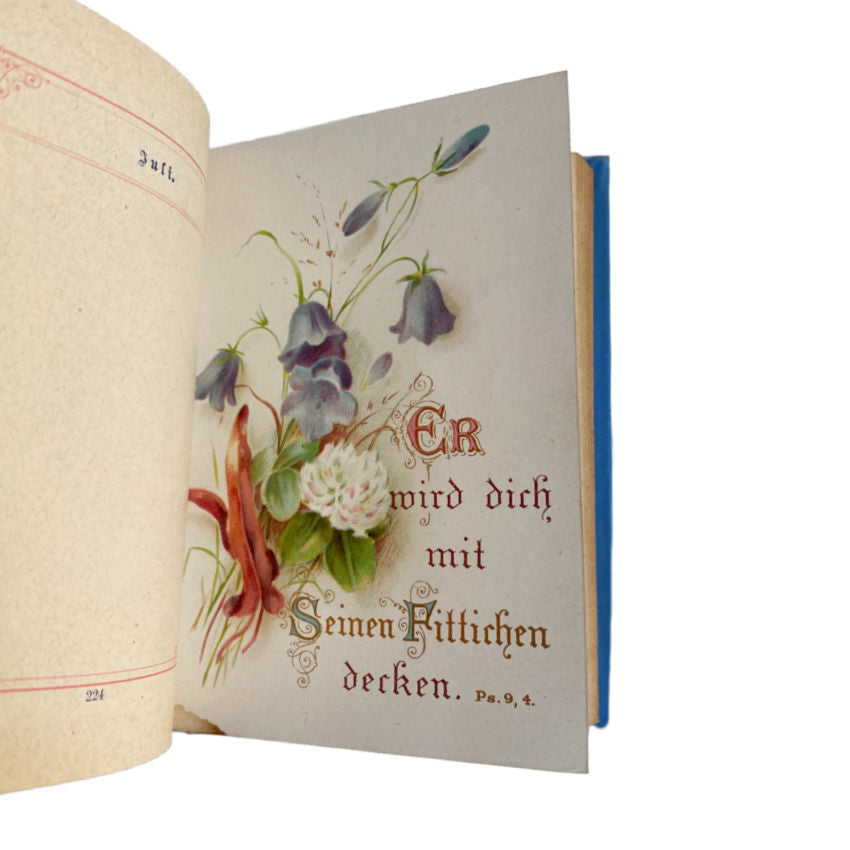 19th Century Christliches Vergissmeinnicht Christian Forget Me Not Keepsake Memory Book