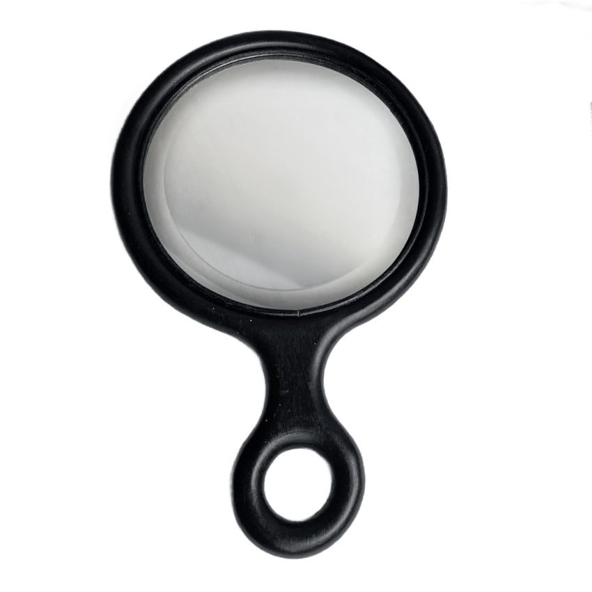 Antique Ebony Mirror, Brush and Comb Set Cased – frenchgardenhouse