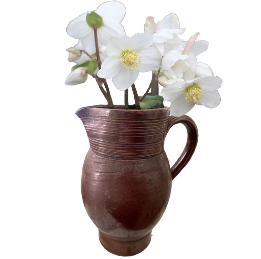 19th century French wine cruche with helleborous