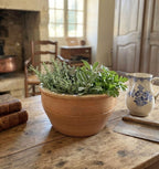 Antique Provençal earthenware bowl on a French farmhouse table