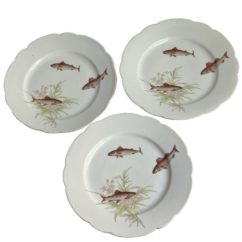 Set of antique painted  plates with fish design on a white background