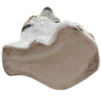 Staffordshire style spaniel collector piece press mould detail of bottom
