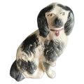 rare early staffordshire dog expressive face black and white pink collar