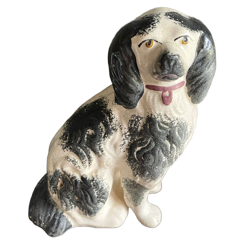 rare early staffordshire dog expressive face black and white pink collar