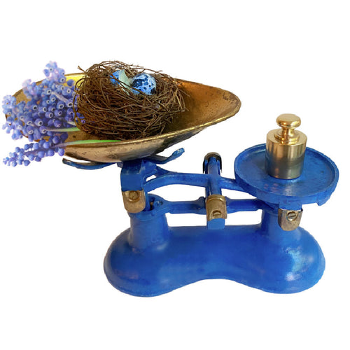 original weight antique apothecary scale blue cast iron with birds nest and blue grape hyacinths