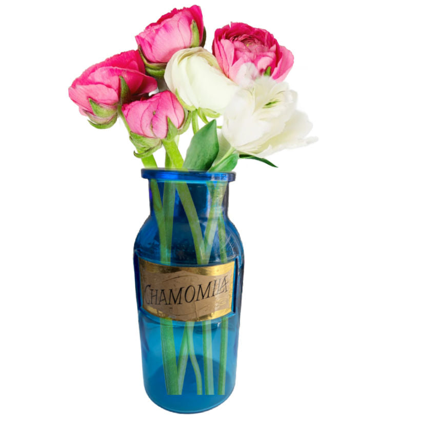 Antique blue apothecary jar with original Chamomila label. Hand-blown glass with luminous color and authentic 19th century pharmacy charm.
