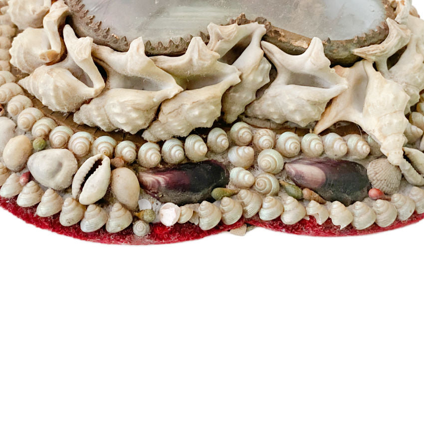 Antique Victorian seashell heart maritime collectible Pelicans foot shells