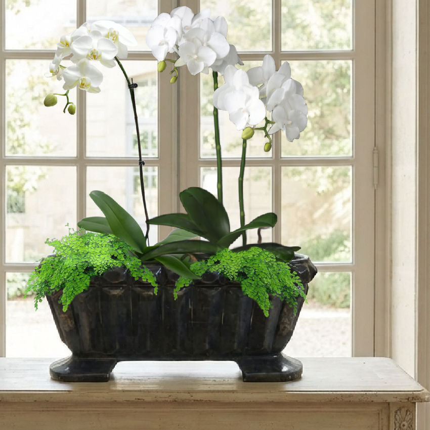 French Garden Antiques – frenchgardenhouse