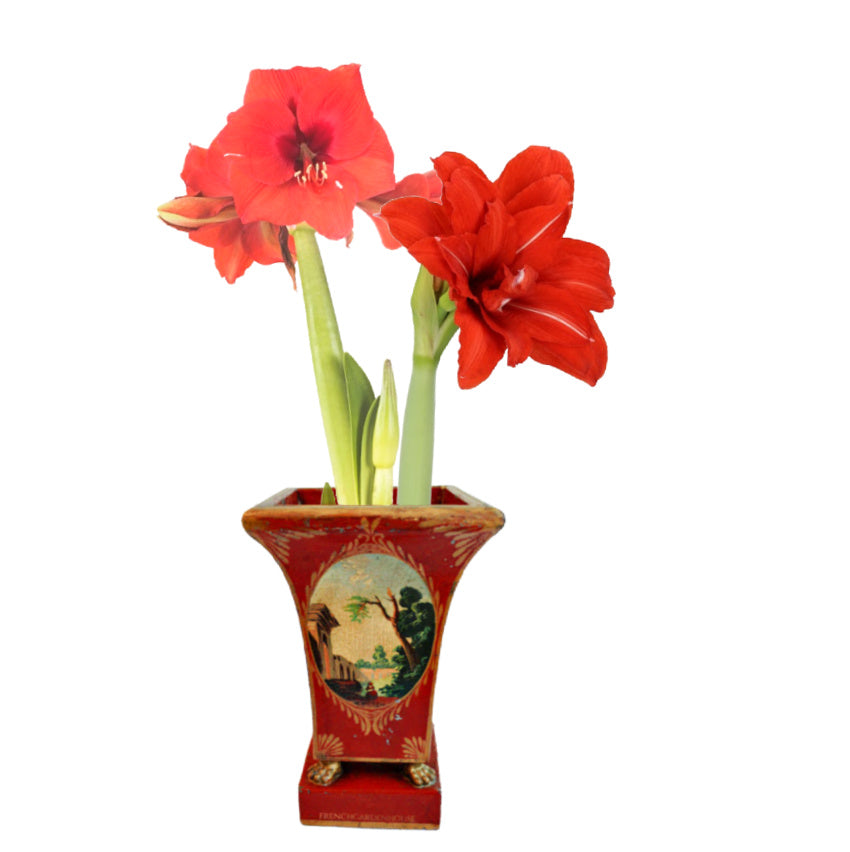 Antique French Directoire tôle peinte cache pot in painted tin with pastoral medallions, gilt foliate motifs, and elegant neoclassical form.