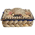 Detailed view of shells and aged surface on antique French box