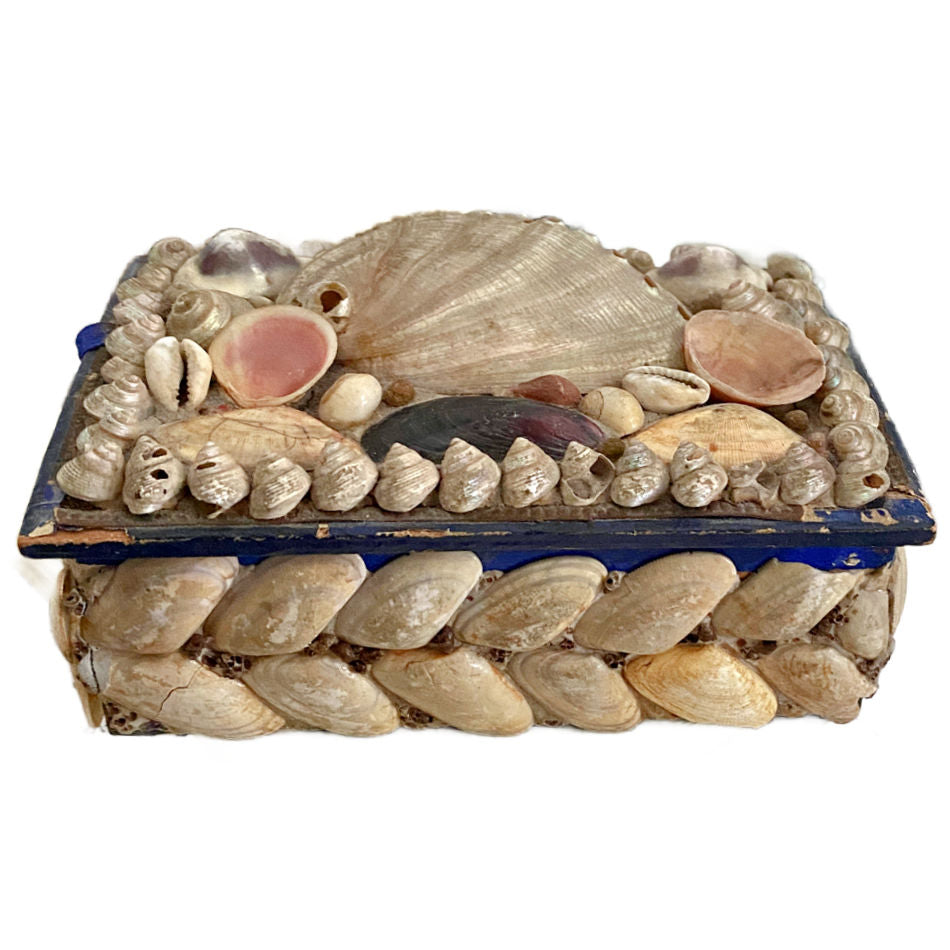 Detailed view of shells and aged surface on antique French box