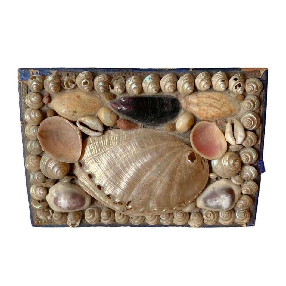 Antique French shell covered box viewed from above