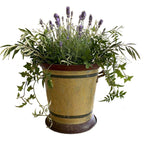 Decorative French cachepot iron handles wine cooler estate piece planted with ivy and lavender
