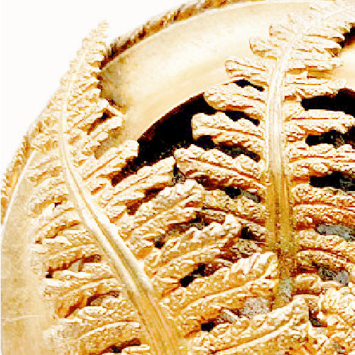 Georgian gold mourning brooch with ferns