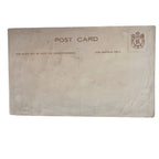 Antique Velvet Pansy Postcard