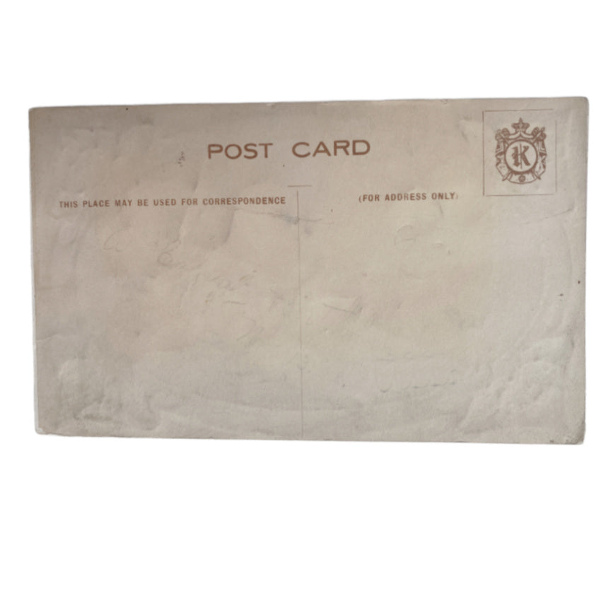 Antique Velvet Pansy Postcard