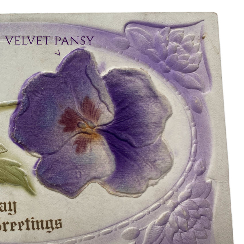 Antique Velvet Pansy Postcard