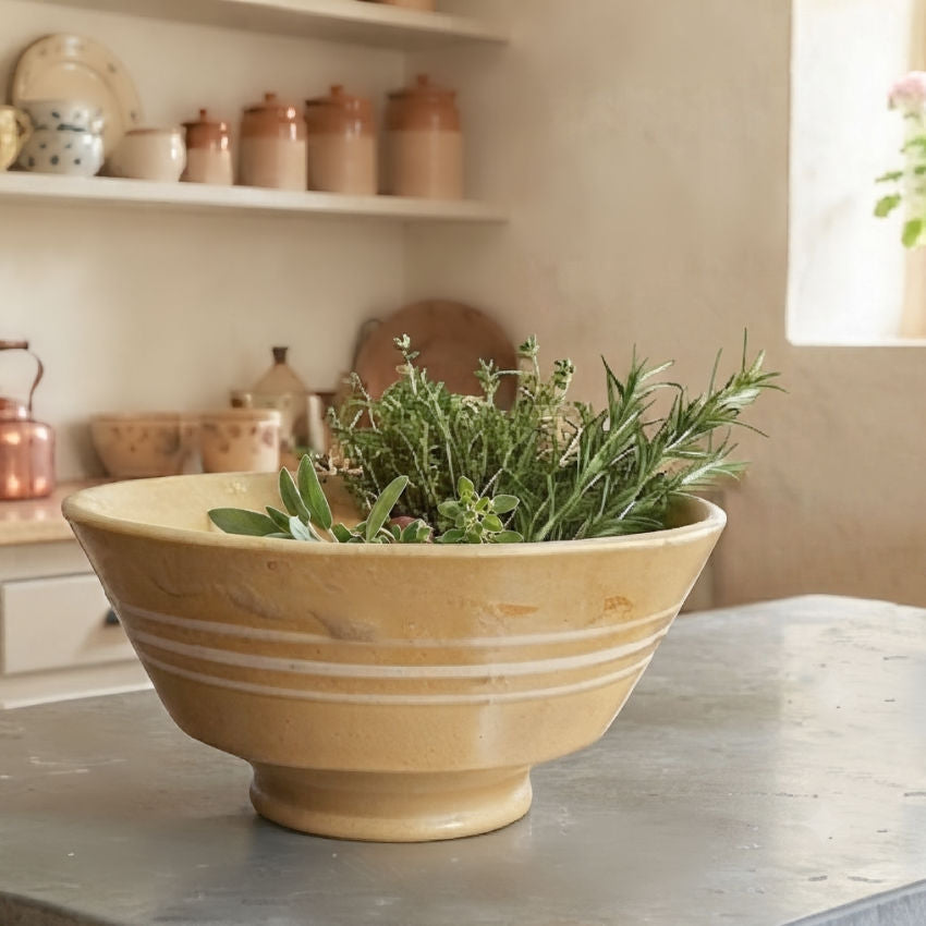 Antique Yelloware Bowl with Cream Stripes, hand thrown on a potter's wheel and hand glazed in french country kitchen with herbs