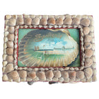 Antique seashell souvenir box with chromolithograph beneath glass and natural shellwork decoration