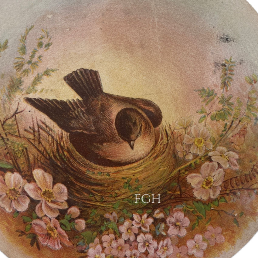 19th Century Advertising Round Blank with Bird on Nest