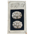 Art Deco rhinestone fan-motif shoe buckles from the 1920s–30s. A glamorous vintage pair with architectural design and brilliant sparkle.