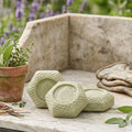 Bee Skep Gardener Soap Set of Three Honeycomb Botanical Collection on potting bench