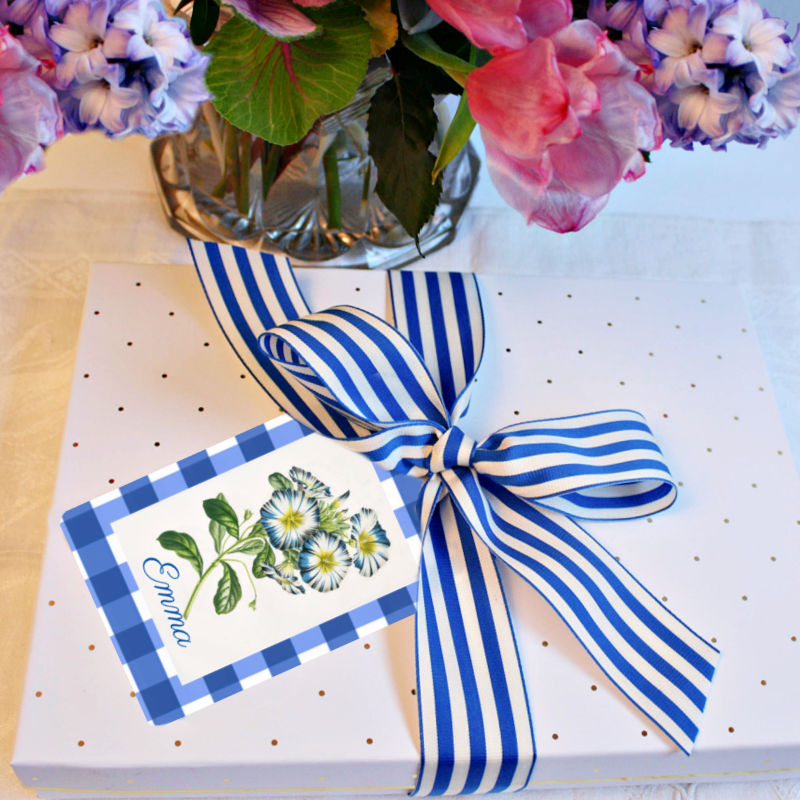 J'adore le Bleu Gift Tag & Ribbon Set