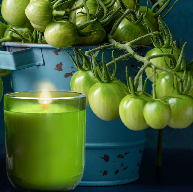 Hampton candle
