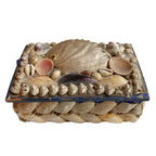 Antique French shell work box with a variety of shells including pearly big shell on blue paper box