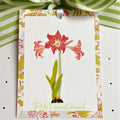 Luxurious Oversized Amaryllis Tags