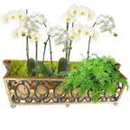 Stunning Italian black and gilt tole planter with orchids, showcasing Florentine craftsmanship and neoclassical decorative artistry.