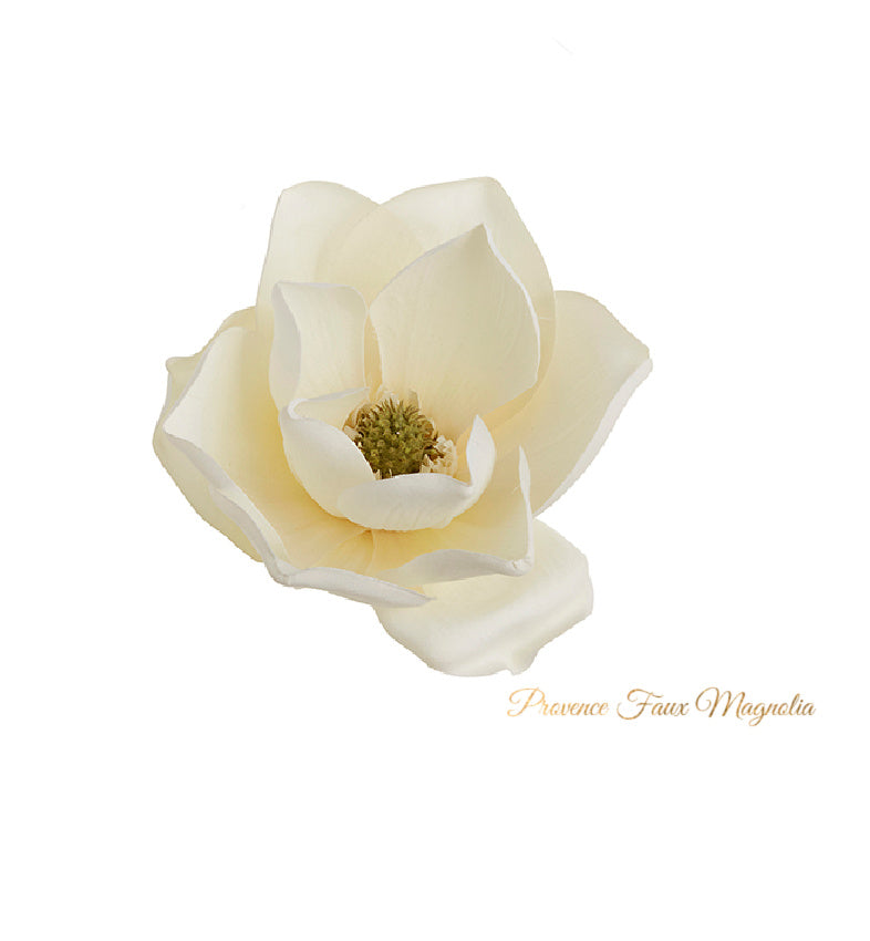 Provence White Magnolia Flower