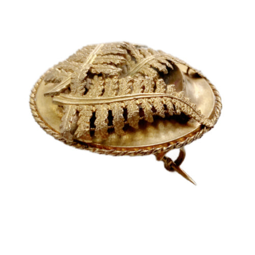 Rare 19th century antique mourning brooch with sculptural fern motif, crafted in high-carat gold with original celluloid keepsake compartment.