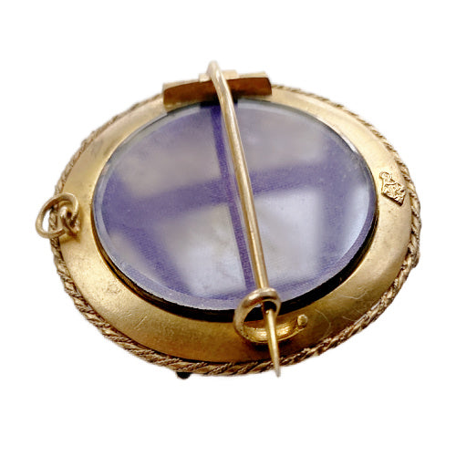 Rare 19th century antique mourning brooch with sculptural fern motif, crafted in high-carat gold with original celluloid keepsake compartment.