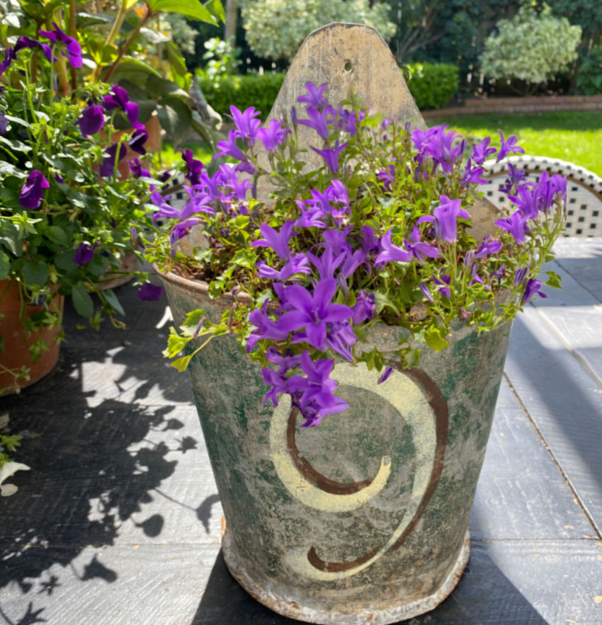 Salvaged European Painted Metal Planter Bucket