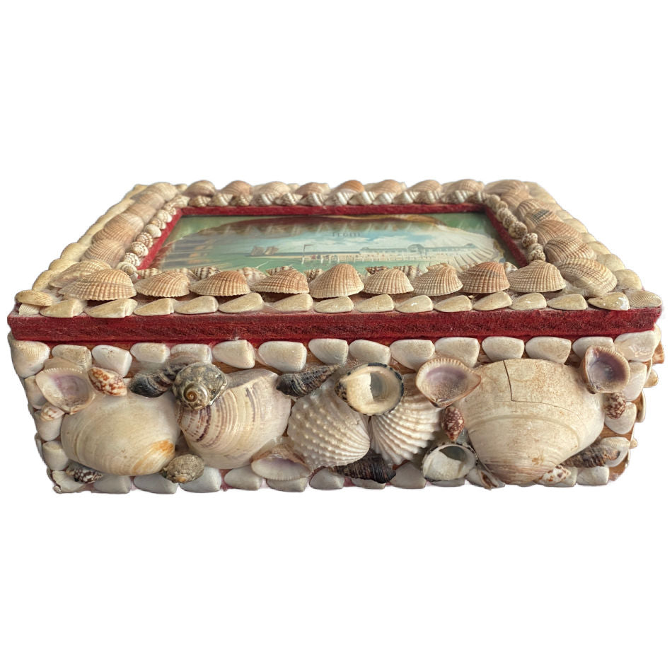  Detail of natural seashell decoration on an antique shellwork souvenir box