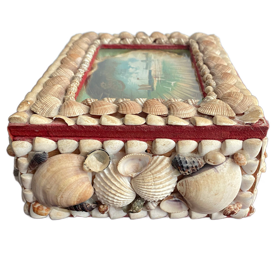 Side view of antique seashell-covered souvenir box with intricate natural shellwork