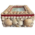 Antique seashell souvenir box showing its aged materials and decorative shell-covered surface